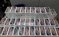 Phát hiện vụ buôn lậu hơn 1.000 chiếc iPhone tại sân bay Nội Bài