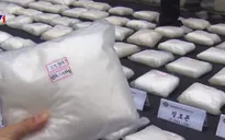 Hàn Quốc: Bắt giữ lượng lớn ma túy trị giá hơn 326 triệu USD