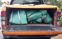 Quảng Bình: Bắt giữ vụ vận chuyển hơn 300 kg ma túy đá