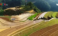 Đồng bào Mông thoát nghèo nhờ tư duy kinh doanh nhạy bén