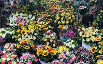 Thị trường hoa tươi sôi động dịp cận 20/10
