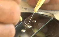 Xác định nguồn gây sốt rét tại Phú Yên
