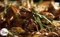 Độc lạ nghề vặt cánh châu chấu tại Mỹ Đức, Hà Nội