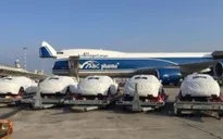 Papua New Guinea sẵn sàng cho APEC