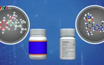 Nhiều loại thực phẩm chức năng chứa thuốc gây hại