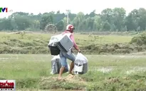 Buôn lậu thuốc lá tại Long An "tăng nhiệt"
