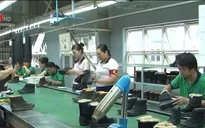 EVFTA sẽ giúp GDP của Việt Nam tăng thêm 10 - 15%