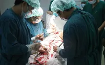 Hà Tĩnh: Nhân viên y tế hiến máu cấp cứu bệnh nhân nguy kịch