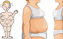 Những thủ phạm gây mỡ bụng cần tránh xa