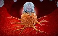 Ý nghĩa giải Nobel y học 2018 trong việc điều trị ung thư