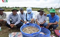Thành lập Quỹ hỗ trợ phát triển ngành phụ phẩm tôm Việt Nam