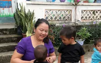 Cô giáo 20 năm cắm bản trồng người