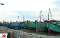 Giá dầu tăng, hàng ngàn tàu cá nằm bờ
