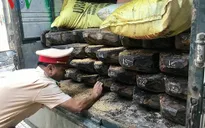 Phát hiện ô tô chở số lượng lớn gỗ lậu