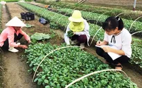 Khánh Hòa: Thí điểm đưa lao động trẻ về Hợp tác xã