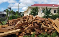 Truy quét nhiều điểm khai thác, tập kết gỗ lậu lớn
