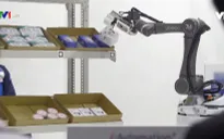 Xu hướng robot làm việc cùng con người