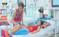 TP.HCM: 800 ca mắc sốt xuất huyết trong 1 tuần