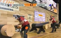 Độc đáo cuộc đua cưa gỗ vô địch thế giới