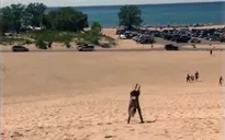 Chiêm ngưỡng những màn trình diễn santo ấn tượng