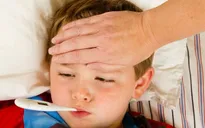 Phòng bệnh quai bị và tránh lây lan như thế nào?