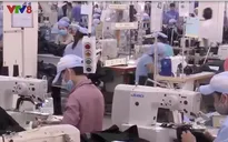 Doanh nghiệp Đà Nẵng chủ động đón đầu EVFTA