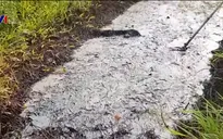 Nạn đổ trộm chất thải công nghiệp "hoành hành" trên đại lộ Thăng Long