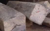 Phát hiện xưởng gỗ lậu quy mô lớn tại Đăk Lăk