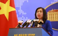Việt Nam trả lời về tiến trình ký Hiệp định EVFTA