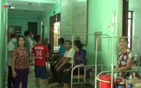 Nghệ An: 11 người thương vong do ong vò vẽ đốt