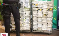 Tây Ban Nha thu giữ 6 tấn cocaine giấu trong thùng chuối nhập khẩu
