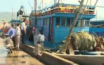 Đà Nẵng: Đẩy mạnh tuyên truyền chống khai thác hải sản trái phép