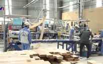 Hiệp định VPA/FLEGT: "Giấy thông hành" cho gỗ Việt vào EU