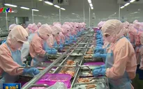 Moody's: Kinh tế Việt Nam sẽ tăng tốc với triển vọng lạc quan