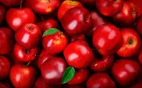 14 loại siêu thực phẩm nên ăn trong mùa thu