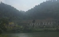 Bất cập quy hoạch rừng phòng hộ