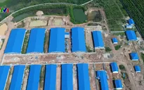 Tháo dỡ trang trại nuôi lợn ở đầu nguồn sông Đồng Nai