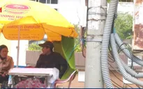 Phú Yên: Khó ngăn chặn vi phạm hành lang an toàn lưới điện
