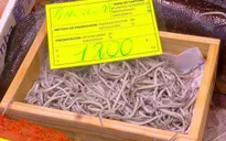 Món đặc sản bị nhiều người cho là “nhạt nhẽo” nhưng có giá hàng chục triệu một kg