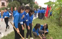 Gần 10.000 cây xanh sẽ được trồng tại một số vùng ở Việt nam