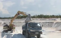 Quảng Nam: Khai thác cát gây nguy cơ mất mùa rau vụ Đông