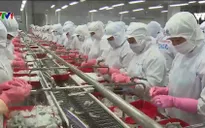 Ngành tôm tăng tốc cuối năm