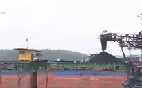Sẽ công khai giá bốc xếp tại các cảng thủy nội địa