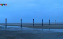 Bến Tre thu hồi dự án nhà máy điện gió hàng trăm tỷ đồng