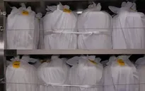 Nhật Bản đối diện với bài toán tro cốt vô thừa nhận