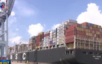 Giá dịch vụ xếp dỡ container tại cảng biển của Việt Nam còn thấp