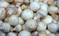 Sữa và nấm có thể ngăn ngừa rối loạn chuyển hoá