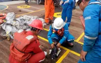 Indonesia nỗ lực tìm kiếm cứu nạn máy bay rơi