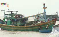 Cứu sống 13 ngư dân trên hai tàu cá bị chìm trên biển