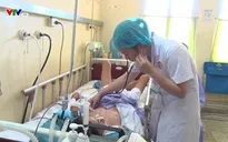 Bị rắn cạp nia cắn, bé trai 14 tuổi nguy kịch